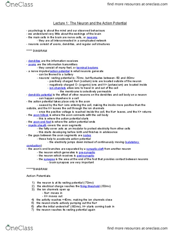 PSYCH 1F03 Lecture Notes - Lecture 1: Adolescence, Action Potential thumbnail