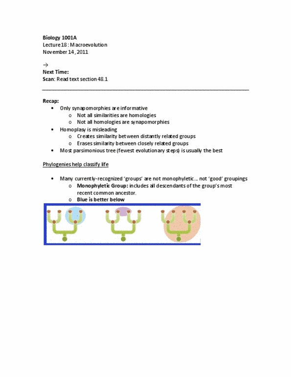 Biology 1001A Lecture Notes - Lecture 18: Anagenesis, Cladogenesis, Gradualism thumbnail