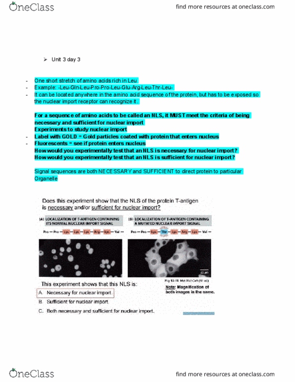 BIOL 205 Lecture Notes - Lecture 10: Organelle, Design Patterns thumbnail