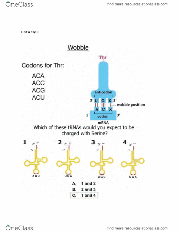 BIOL 205 Lecture Notes - Lecture 16: Start Codon, Wobble Base Pair, Reading Frame thumbnail