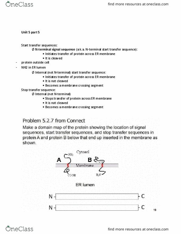 BIOL 205 Lecture Notes - Lecture 22: Protein A, Cytosol thumbnail