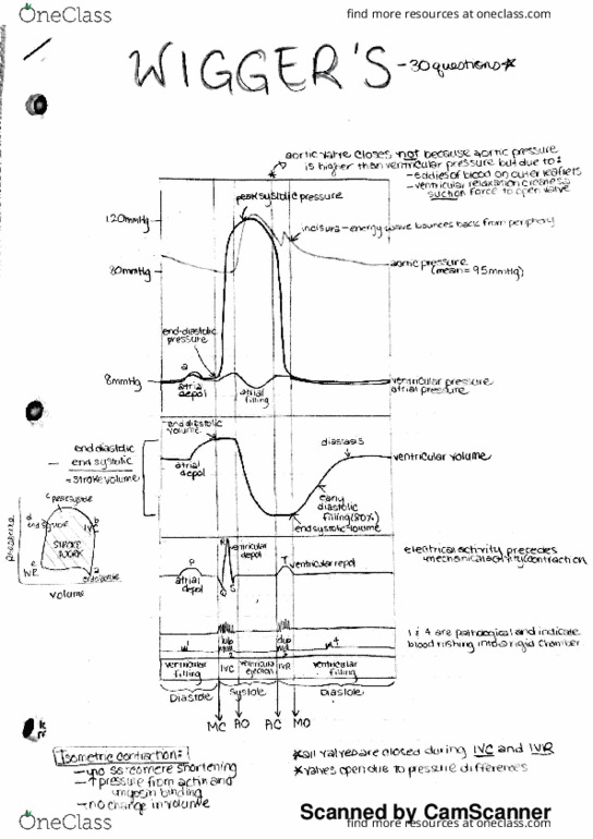 ALES204 Lecture Notes - Lecture 12: Interactive Voice Response, Stroke Volume, Light-Water Reactor thumbnail