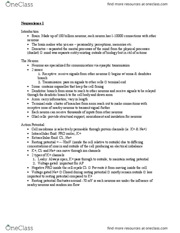 PSYCH 1XX3 Lecture Notes - Lecture 4: Neural Tube, Myelin, Neural Plate thumbnail