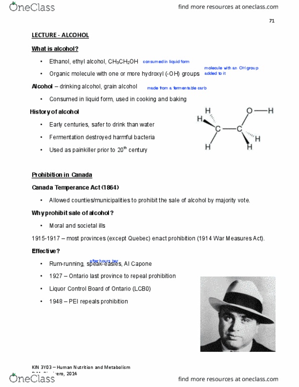 KINESIOL 3Y03 Lecture Notes - Lecture 7: Leydig Cell, Pyruvic Acid, Blood Sugar thumbnail