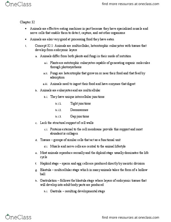 BSC 2011C Chapter Notes - Chapter 32: Blastomere, Blastula, Gastrulation thumbnail