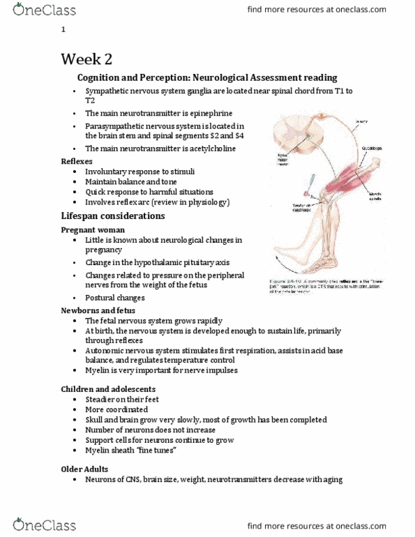 Nursing 1180A/B Lecture Notes - Lecture 2: Hyperalgesia, Quadriceps Femoris Muscle, Tonsil thumbnail