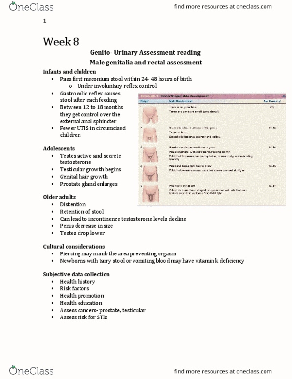 Nursing 1180A/B Lecture 8: 1180- week 8 reading thumbnail
