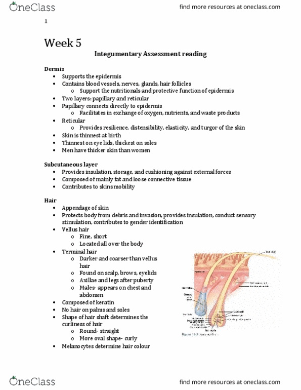 Nursing 1180A/B Lecture Notes - Lecture 5: Allergen, Local Access And Transport Area, Nonverbal Communication thumbnail