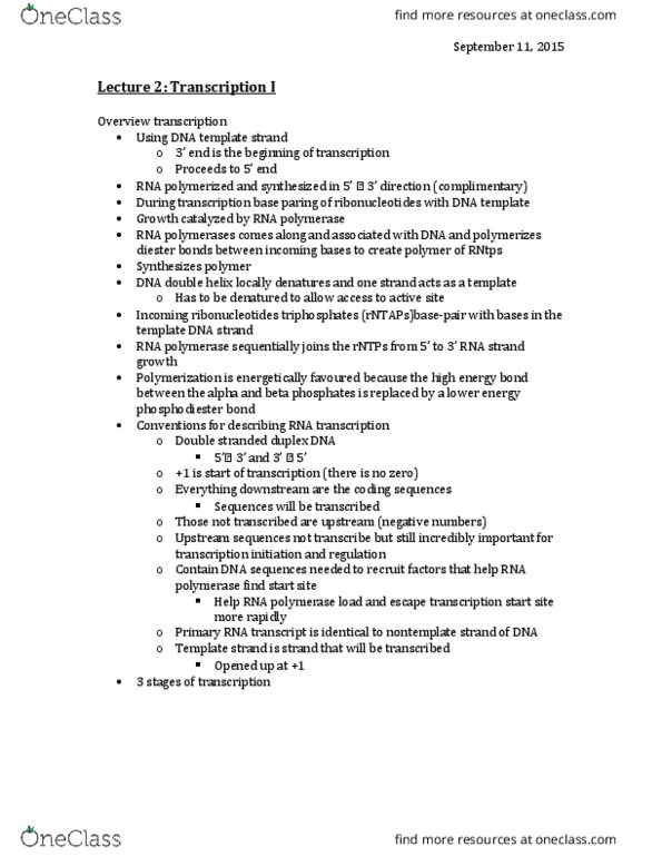 BIOL 200 Lecture Notes - Lecture 2: Ester, Ribonucleotide, Polymerization thumbnail