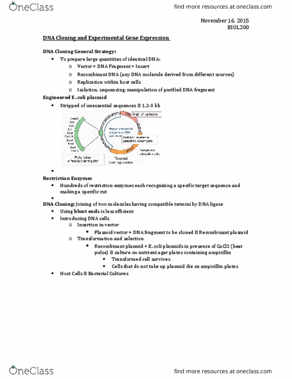 BIOL 200 Lecture Notes - Lecture 22: Molecular Cloning, Dna Ligase, Recombinant Dna thumbnail