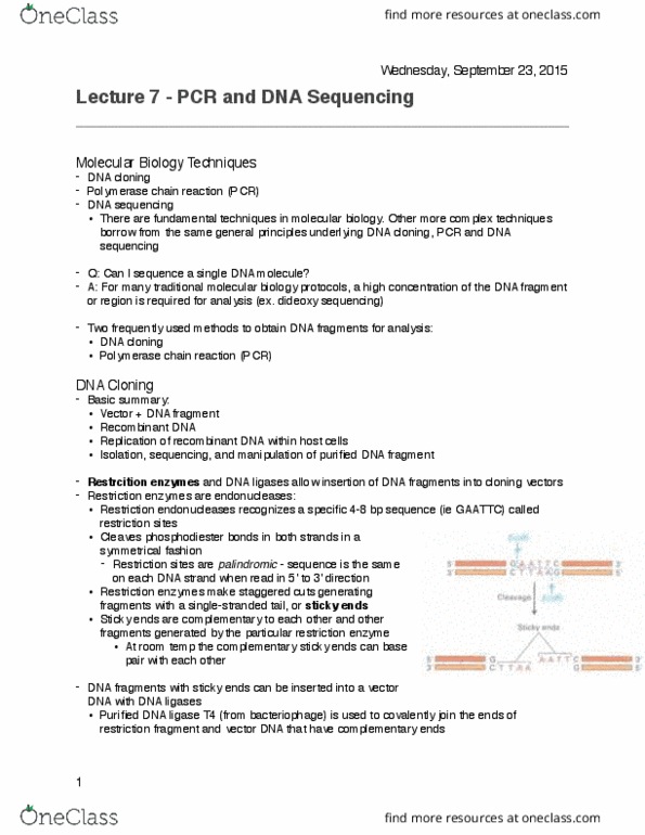 BIOL 200 Lecture Notes - Lecture 7: Restriction Enzyme, Dna Ligase, Molecular Cloning thumbnail