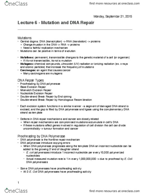 BIOL 200 Lecture Notes - Lecture 6: Dna Repair, Dna Polymerase, Dna Ligase thumbnail