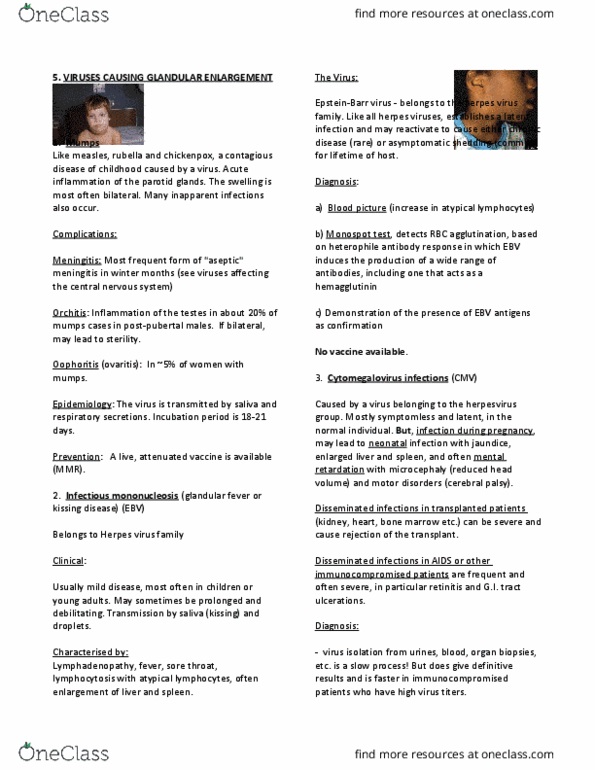 HSS 1100 Lecture Notes - Lecture 9: Neonatal Herpes Simplex, Infectious Mononucleosis, Aseptic Meningitis thumbnail