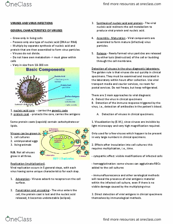 HSS 1100 Lecture Notes - Lecture 8: Cytopathic Effect, Immunofluorescence, Adsorption thumbnail
