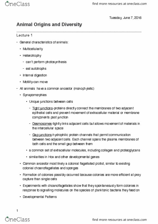 BSC 2011 Lecture Notes - Lecture 1: Proteoglycan, Synapomorphy, Protist thumbnail