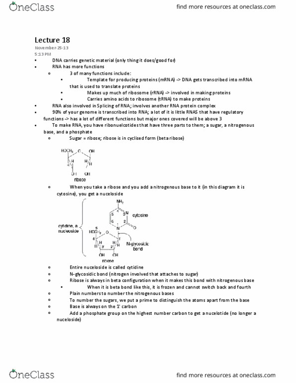Biochemistry 2280A Lecture Notes - Lecture 18: Cytidine, Nitrogenous Base, Ribose thumbnail