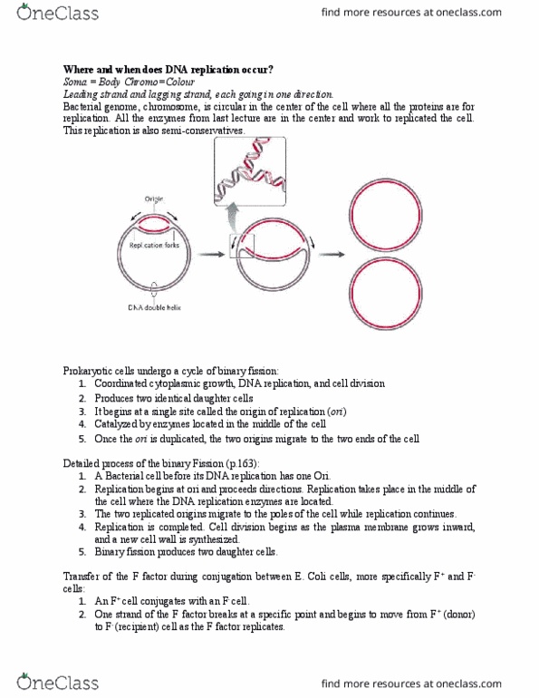 BIOA01H3 Lecture Notes - Lecture 25: Dna Replication, Cell Membrane, Cell Division thumbnail