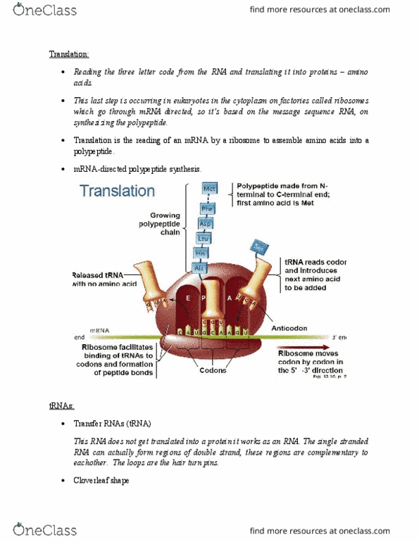 document preview image