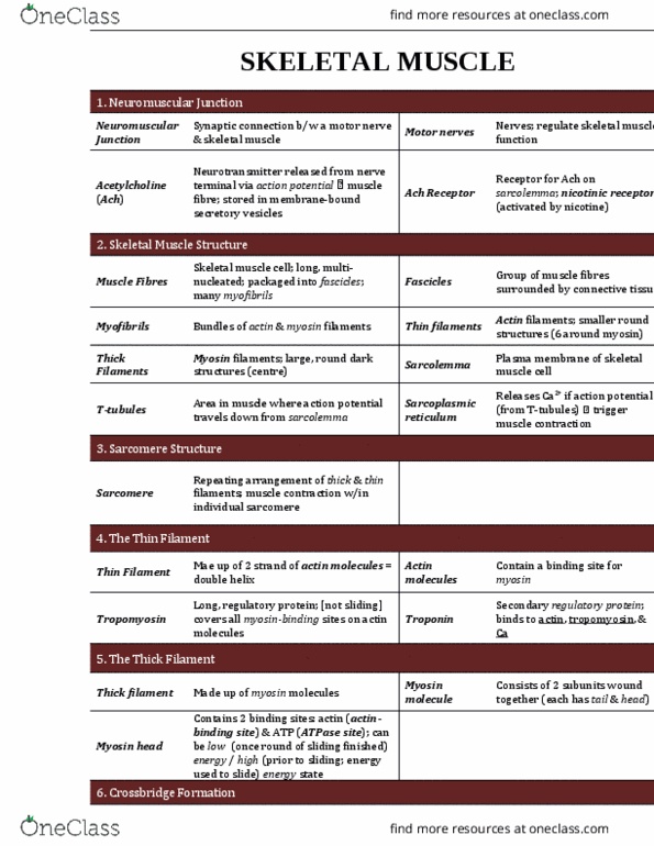 BIOA02H3 Chapter Notes - Chapter 6: Skeletal Muscle, Myocyte, Sarcolemma thumbnail