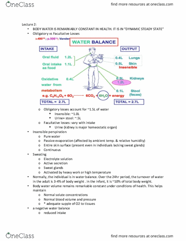 PHGY 209 Lecture Notes - Lecture 2: Electrolyte, Hematocrit, Red Blood Cell thumbnail