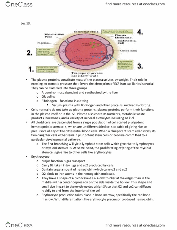 document preview image