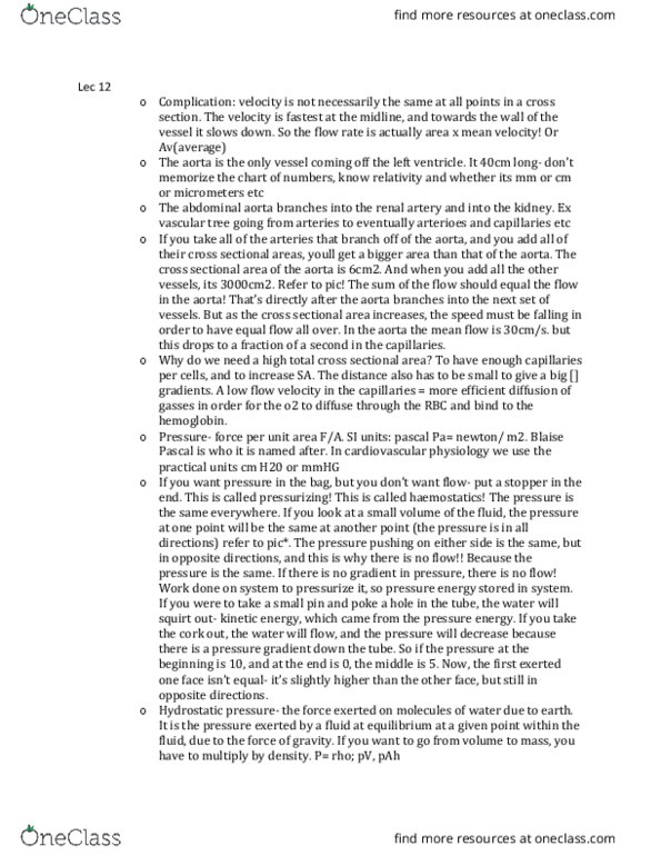 PHGY 210 Lecture Notes - Lecture 12: Renal Artery, Flow Velocity, Aorta thumbnail