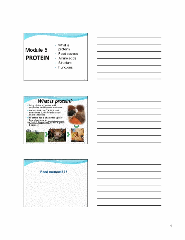 FNN 200 Lecture Notes - Egg White, Nitrogen Balance, Protein Quality thumbnail