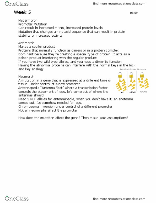 BIOL 205 Chapter Notes - Chapter 5: Pigment, Auxotrophy, Thiamine thumbnail