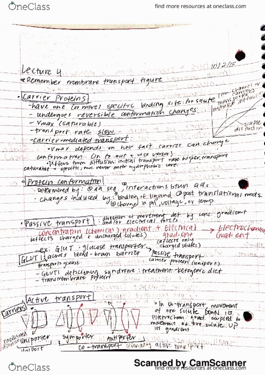 BIO SCI D103 Lecture Notes - Lecture 4: Antiporter thumbnail