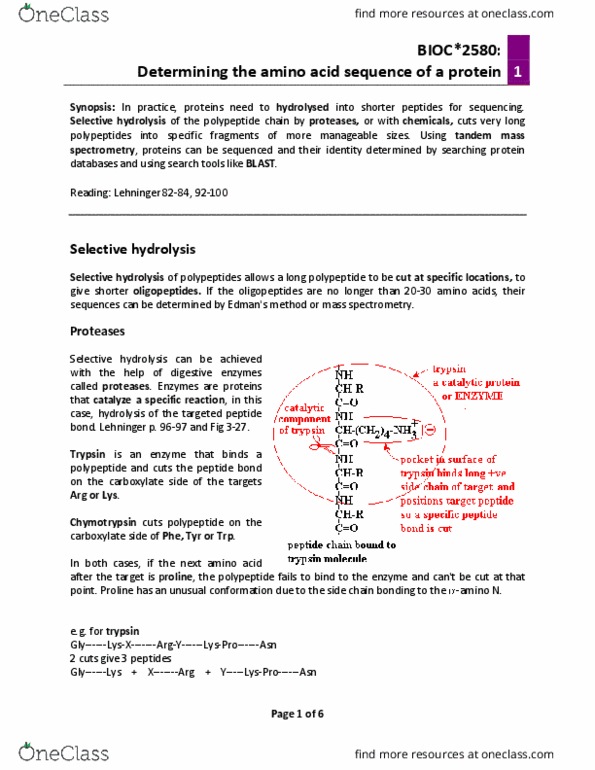 BIOC 2580 Chapter Notes - Chapter 4: Cyanogen Bromide, Reagent, Chymotrypsin thumbnail