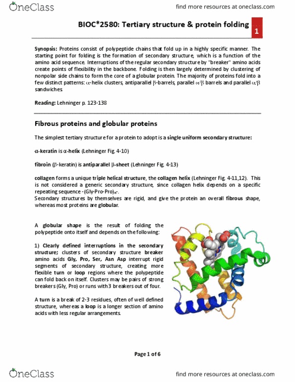 BIOC 2580 Chapter Notes - Chapter 5: Protein Folding, Asparagine, Hydrogen Bond thumbnail