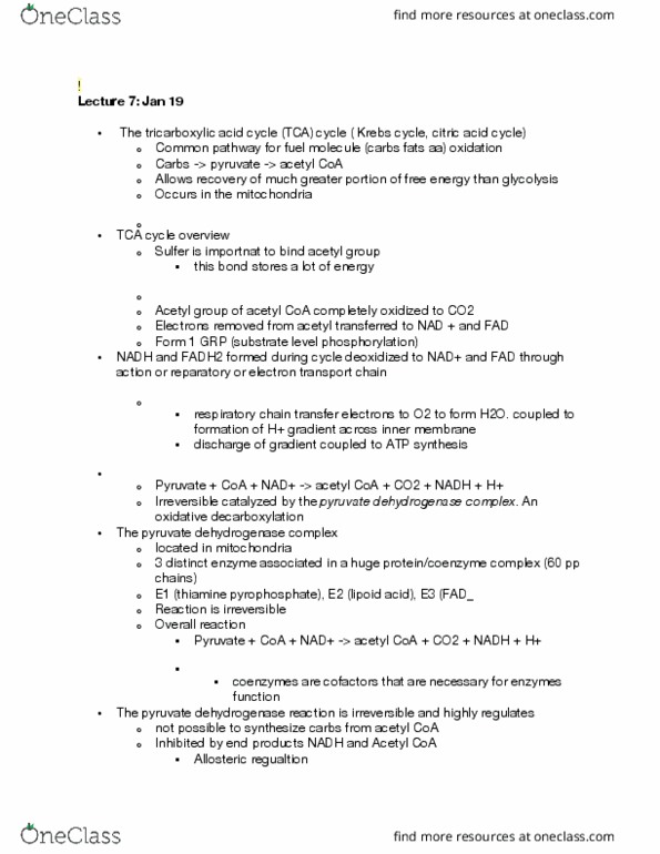 BIOL 201 Lecture Notes - Lecture 6: Acetyl-Coa, Citric Acid Cycle, Acetyl Group thumbnail