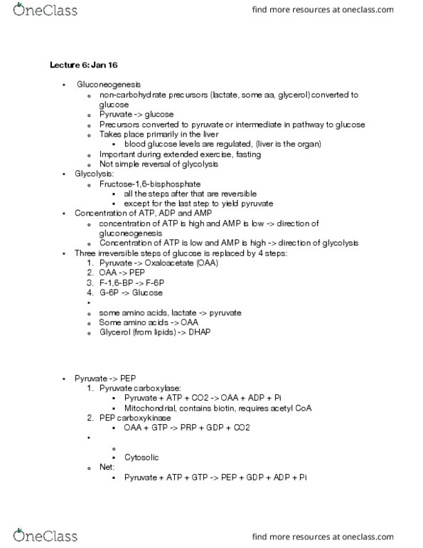 BIOL 201 Lecture Notes - Lecture 5: Blood Sugar, Gluconeogenesis, Pyruvic Acid thumbnail