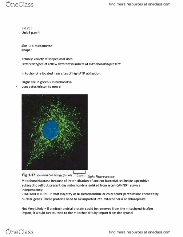 BIOL 205 Lecture Notes - Lecture 33: Cytoskeleton, Organelle, Chloroplast thumbnail