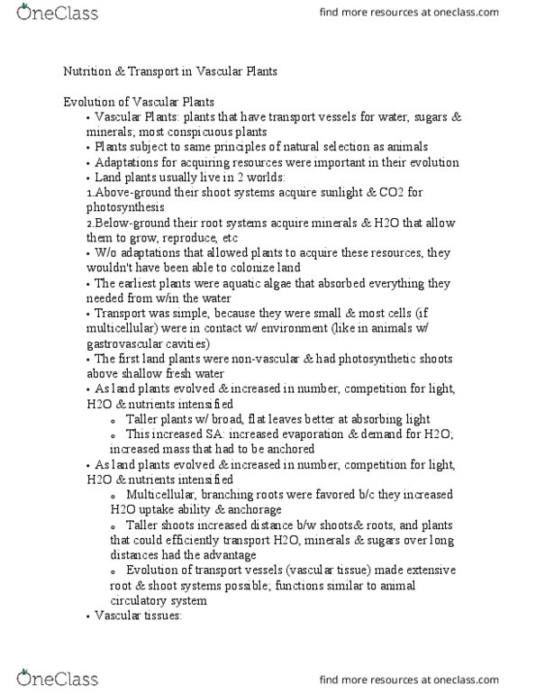BIOL 11100 Lecture Notes - Lecture 20: Plant Cell, Phyllotaxis, Osmosis thumbnail