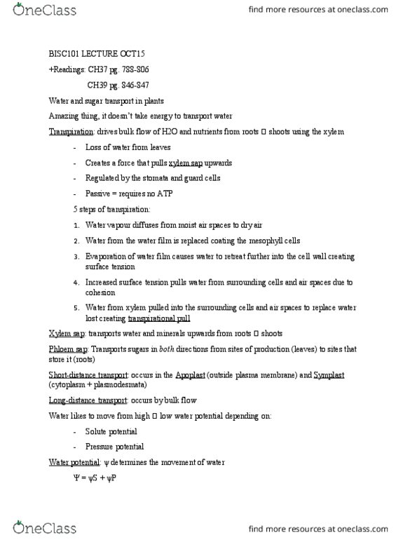 BISC 101 Lecture Notes - Lecture 10: Xylem, Water Potential, Symplast thumbnail