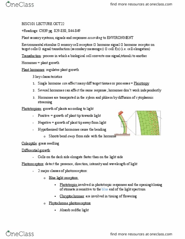 BISC 101 Lecture Notes - Lecture 12: Signal Transduction, Phototropism, Cytoplasmic Streaming thumbnail