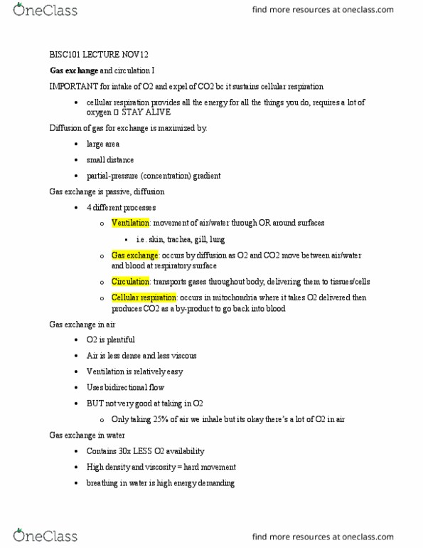 BISC 101 Lecture Notes - Lecture 18: Countercurrent Exchange, Buccal Pumping, Cellular Respiration thumbnail