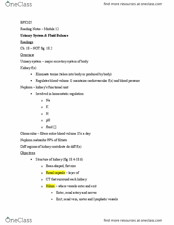 BPK 105 Lecture 12: Reading Notes - Module 12 thumbnail