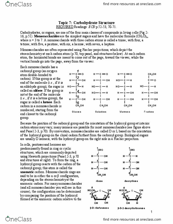 Biochemistry 2288A Lecture Notes - Lecture 7: Fischer Projection, Tetrose, Monosaccharide thumbnail