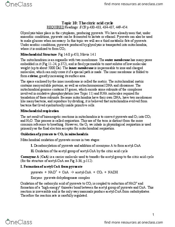 Biochemistry 2288A Lecture Notes - Lecture 10: Mitochondrial Matrix, Extrachromosomal Dna, Oxidative Phosphorylation thumbnail