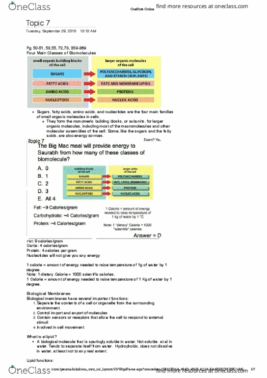 Biochemistry 2288A Lecture Notes - Lecture 7: Biological Membrane, Biomolecule, Microsoft Onenote thumbnail