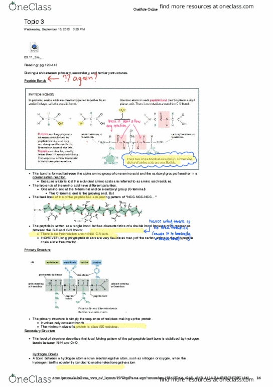 Biochemistry 2288A Lecture Notes - Lecture 3: Covalent Bond, Amine, Electronegativity thumbnail