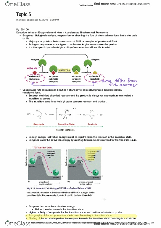 Biochemistry 2288A Lecture Notes - Lecture 5: Activation Energy, Enzyme Activator, Microsoft Onenote thumbnail