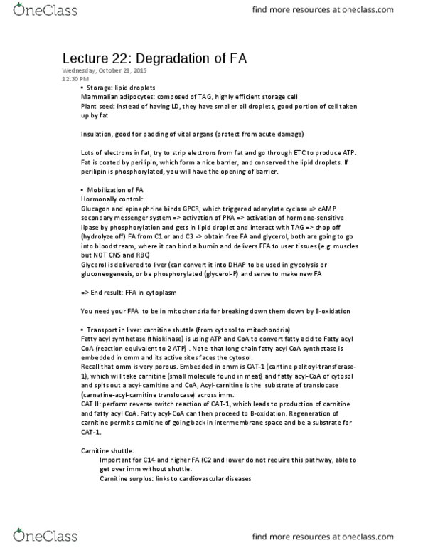 BIOC 311 Lecture Notes - Lecture 22: Cytosol, Carboxylic Acid, Glycogen thumbnail