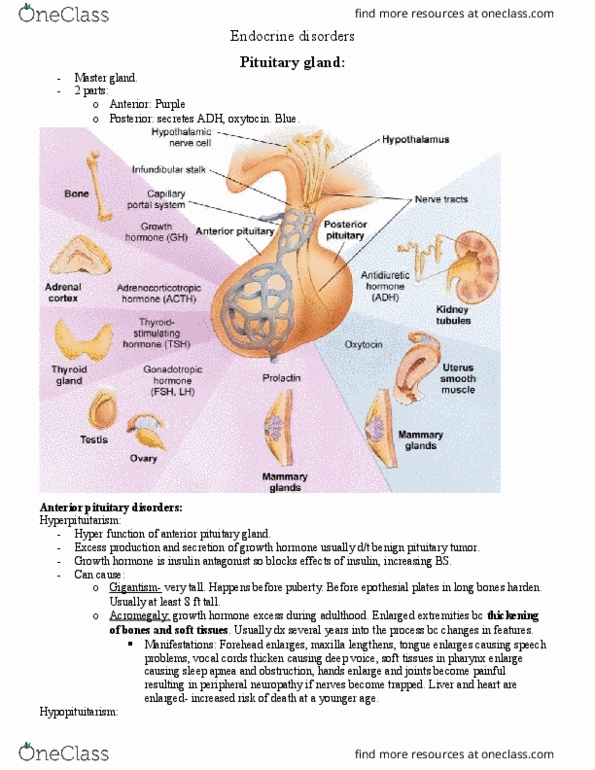 NURS 371 Lecture Notes - Lecture 32: Atenolol, Stridor, Weight Gain thumbnail