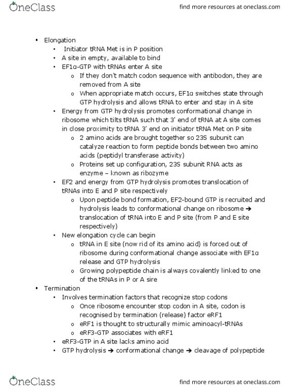 BIOL 200 Lecture Notes - Lecture 22: Polyadenylation, Polysome, Eif1 thumbnail