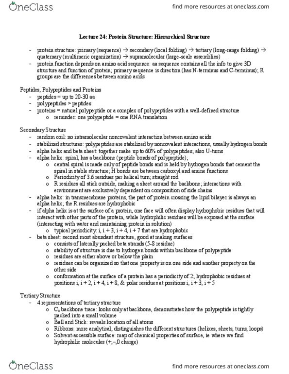 BIOL 200 Lecture Notes - Lecture 44: Leucine, Replisome, Helicase thumbnail