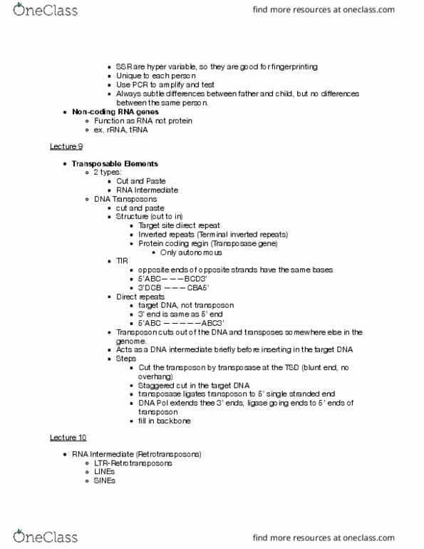 Biol Study Guide Fall Final Orf Antigen Syrian Arab