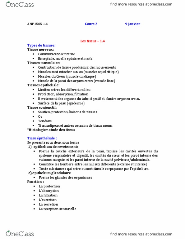 ANP 1505 Lecture Notes - Lecture 3: Girdle, Chondrocyte, Combles thumbnail